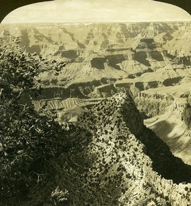 USA Arizona Grand Canyon Panorama Old White Stereoview Photo 1900