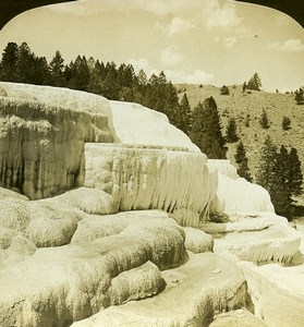 Yellowstone Mammoth Hot Springs Cleopatra Terrace White Stereoview Photo 1900