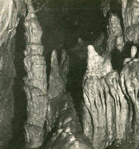 Germany Bavaria Streitberg Binghöhle Bing Cave Old NPG Stereoview Photo 1906 #15