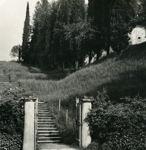 Italy Lake Como San Giovanni Cypress grove Old Stereoview Photo 1906