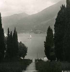 Italy Lake Como San Giovanni Cypress grove Old Stereoview Photo 1906
