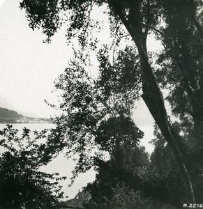 Italy Lake Como Bellagio Villa Serbelloni Varenna Old Stereoview Photo 1906