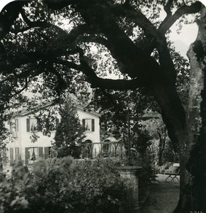 Italy Lake Como Bellagio Villa Serbelloni Olive Trees Old Stereoview Photo 1906