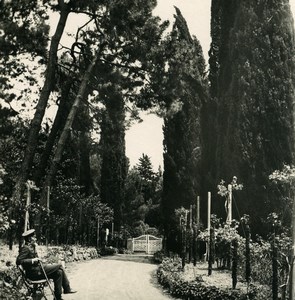 Russia Crimea Massandra Public garden Roses Old NPG Stereo Photo 1900