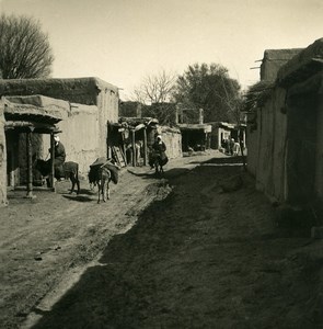 Uzbekistan Tashkent street mules Old NPG Stereo Photo 1900