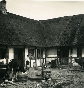 Sweden Falsterbo Thatched Farm House Old NPG Stereo Photo 1900
