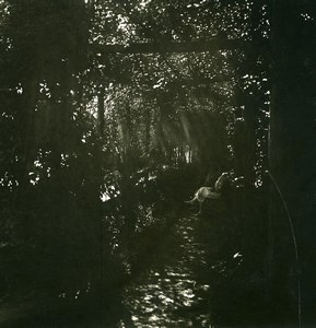 Switzerland Locarno Hotel Reber Garden Bamboo Possemiers Stereoview Photo 1900