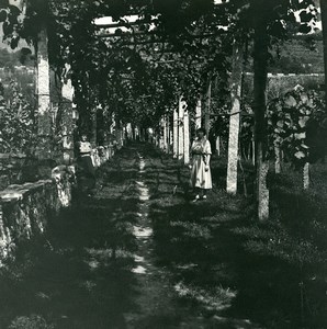 Switzerland Locarno vineyard at Gordola Old Possemiers Stereoview Photo 1900