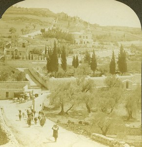 Israel Palestine Jerusalem Garden Gethsemane Kedron Bridge Stereoview Photo 1900
