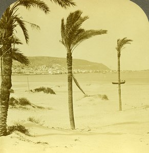 Israel Palestine Haifa Caiffa & Mount Carmel Old Stereoview Photo 1900