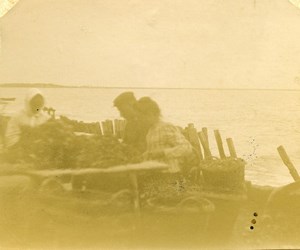 France sea view mussels Fishermen Old Amateur Stereoview Photo 1900