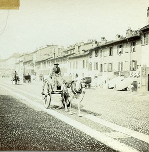 Italy Milano Milan old street Horse Cart Old Amateur Stereoview Photo 1900