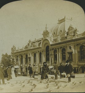 Monaco Monte Carlo Casino Pigeons Old Stereo Photo Stereoview HC White 1900