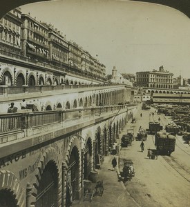 Algeria Algiers Rue de la Republique Old Stereo Photo Stereoview HC White 1900