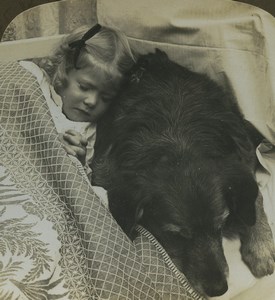 Tired of Play Girl and Dog having a Nap Old Photo Stereoview AMC 1900