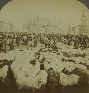 Turkey Constantinople Feast of Bayram Aïd Old Photo Stereoview Excelsior 1900