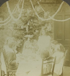 USA Scene de Genre Kids Christmas Dinner Old Photo Stereoview Excelsior 1900