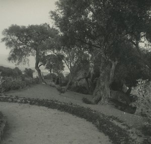 France Corsica Ajaccio Grotto Napoleon Old Possemiers Stereoview Photo 1920