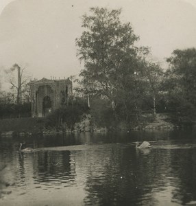 Austria Vienna Stadtpark Swan lake Old Stereoview Photo 1900