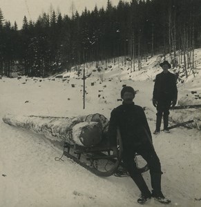 Germany Riesengebirge Transport of Wood in Winter Old NPG Stereoview Photo 1900
