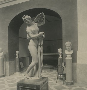 Italy Napoli Sculpture Museum Venus Callipyge Old NPG Stereoview Photo 1900