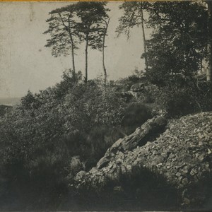 France Forest of Fontainebleau Mount Ussy Old Stereoview Photo SIP 1910