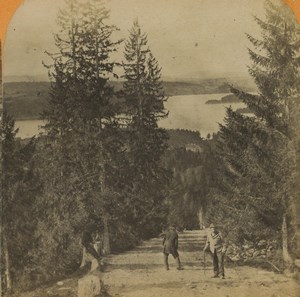 Norway Ringerike panorama Forest Fjord Old Stereoview Photo 1880