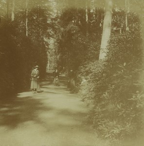 Belgium Antwerp? Ladies on Forest path Old Stereoview Amateur Photo 1910'