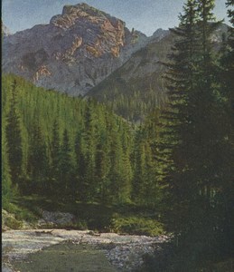 Italy view near Ospitale di Cadore Old Stereoview Chromoplast Bild 1910's