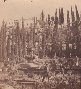 Italy Verona Palazzo Giusti gardens Old Stereo Photo 1860