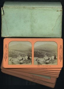 10 Palestine Views Photos Old Block Tissue Stereoview box 1870