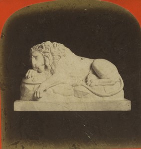Allemagne Musée Sculpture Lion de Thorvaldsen Ancienne Photo Stereo Stiehm 1870