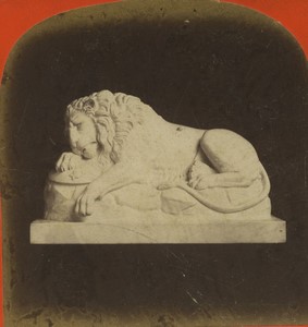 Germany Museum Sculpture Lion Thorvaldsen Old Photo Stereo Stiehm 1870