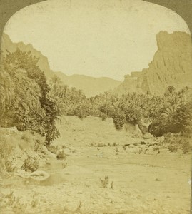 Algeria El Kantara Old Stereo photo Radiguet 1860