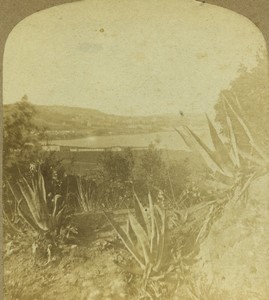 Algeria Algiers view taken from the Kouba Old Stereo photo Radiguet 1860