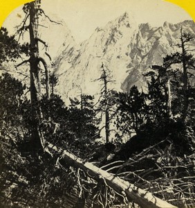 Switzerland Alps Engelhorn Mountain Old Stereo photo Braun 1865