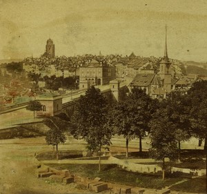 Switzerland Alps Bern panorama Old hand colored Stereo photo 1865
