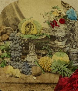 France Etude Artistique nature morte aux fruits et fleurs ancienne Photo Stereo 1865
