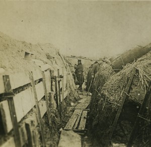 France First World War Marne a wooded trench Old Stereo Photo 1918