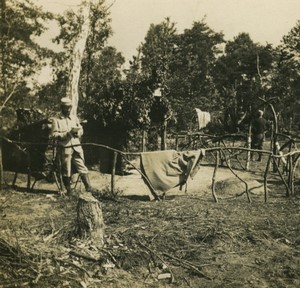 First World War Marne city ​​under wood small villa Old Stereo Photo 1918