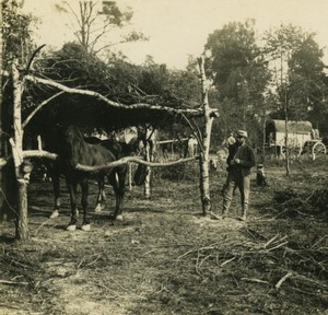 First World War Marne city ​​under wood shelter for horses Old Stereo Photo 1918