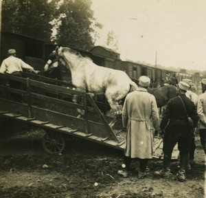 France First World War Marne boarding a horse Old Stereo Photo 1918