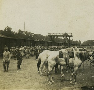 France First World War Marne embarkation of troops Horses Old Stereo Photo 1918