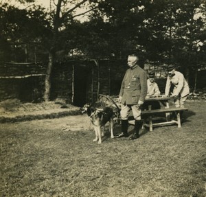 France First World War Marne city in the woods a house Old Stereo Photo 1918