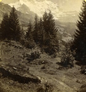 Switzerland Alps Wengen Jungfrau Panorama old Gabler Stereoview Photo 1885