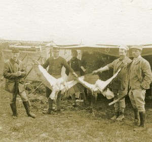 France WWI War Aviation Aviator Martinet Hunting STL Stereoview Photo 1918