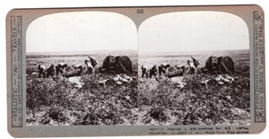 WWI Gunners Howitzer Camouflage Old Realistic Travels Stereoview Photo 1914-1918