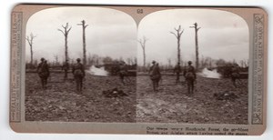 WWI Houthulst Forest Battle of Poelcappelle Realistic Travels Stereoview 1917