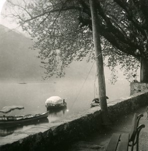 Italy Lake Como Tremezzo Promenade Villa Carlotta Old Stereoview Photo 1900