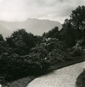 Italy Lake Como Villa Carlotta Garden Old Stereoview Photo 1900